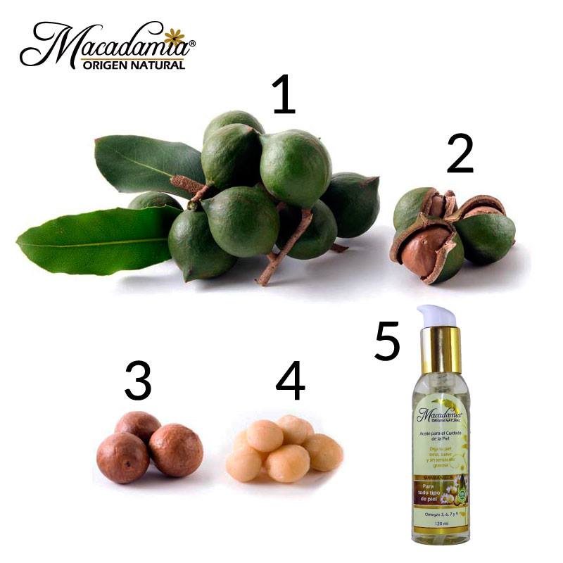 Composición química del Aceite de Macadamia Origen Natural